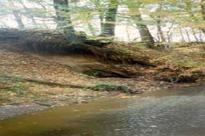 Big Brook is full of surprises!